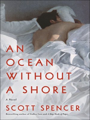 cover image of An Ocean Without a Shore